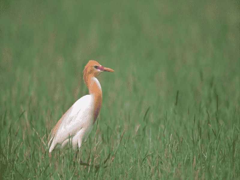 沈阳试管做几代好,2024年沈阳想回郑州做试管（关于试管的书）