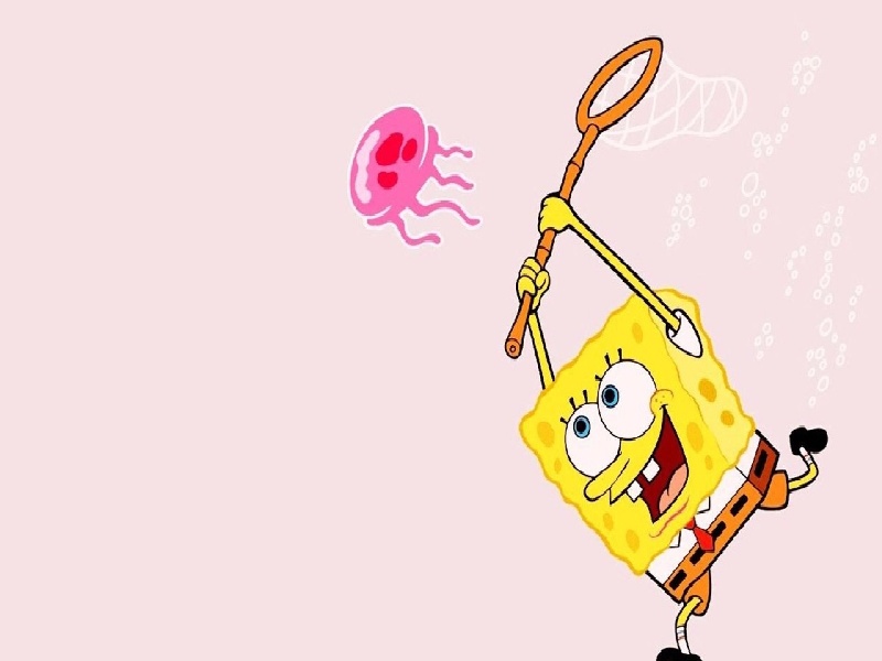 沈阳最靠谱的代生,代生咨询：在沈阳公立医院可